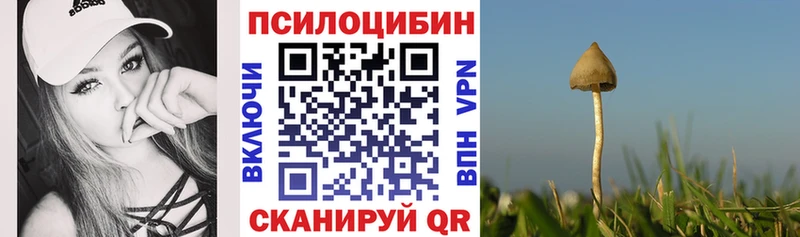 Галлюциногенные грибы ЛСД  Выкса 